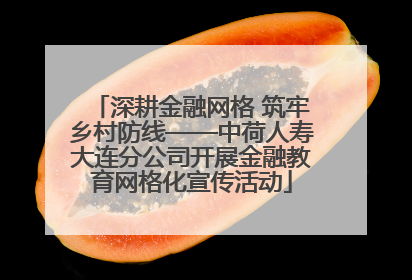 深耕金融网格 筑牢乡村防线——中荷人寿大连分公司开展金融教育网格化宣传活动